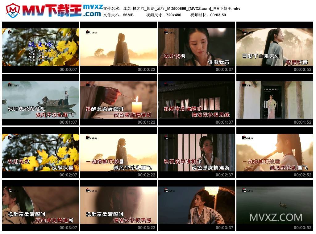 流苏-枫之吟_国语_流行_MD500896